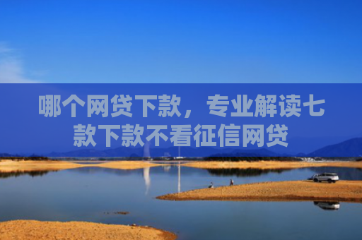 哪个网贷下款，专业解读七款下款不看征信网贷