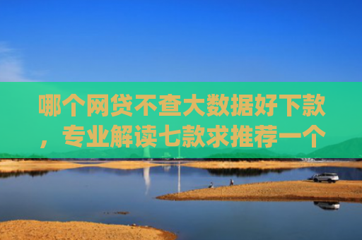 哪个网贷不查大数据好下款，专业解读七款求推荐一个黑户能下款的app