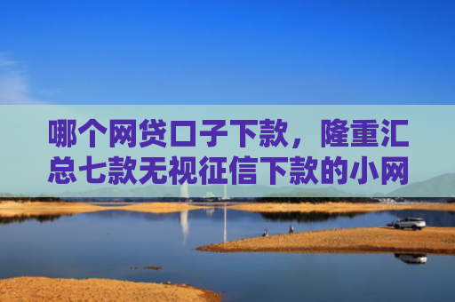 哪个网贷口子下款，隆重汇总七款无视征信下款的小网贷