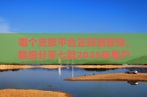 哪个贷款平台正规放款快，精细分享七款2025年黑户能下款的app