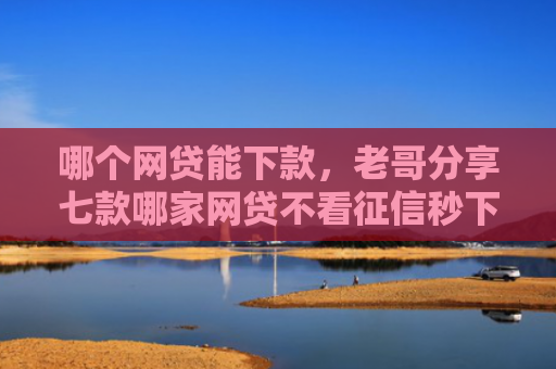 哪个网贷能下款，老哥分享七款哪家网贷不看征信秒下款