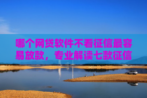 哪个网贷软件不看征信最容易放款，专业解读七款征信很花也能下款的网贷