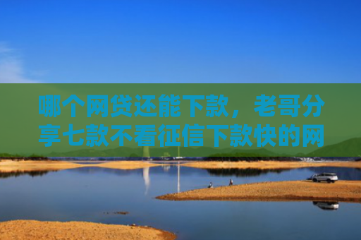 哪个网贷还能下款，老哥分享七款不看征信下款快的网贷