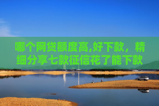 哪个网贷额度高,好下款，精细分享七款征信花了能下款的网贷
