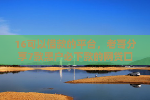 16可以借款的平台，老哥分享7款黑户必下款的网贷口子