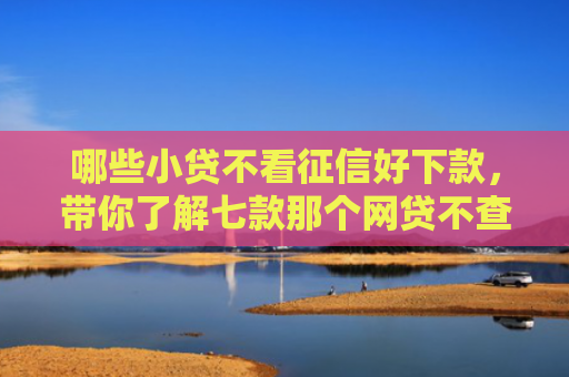 哪些小贷不看征信好下款，带你了解七款那个网贷不查征信下款快