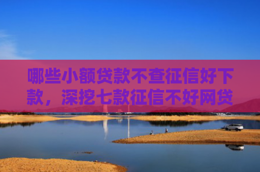 哪些小额贷款不查征信好下款，深挖七款征信不好网贷哪个能下款