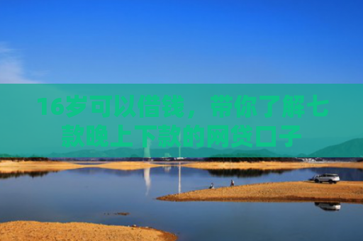 16岁可以借钱，带你了解七款晚上下款的网贷口子
