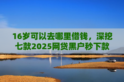 16岁可以去哪里借钱，深挖七款2025网贷黑户秒下款的口子