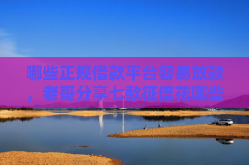 哪些正规借款平台容易放款，老哥分享七款征信花哪些网贷会下款