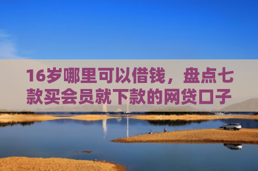 16岁哪里可以借钱，盘点七款买会员就下款的网贷口子