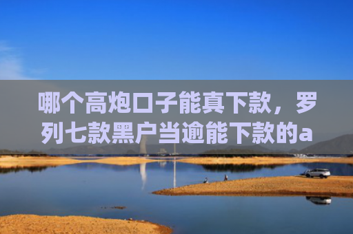 哪个高炮口子能真下款，罗列七款黑户当逾能下款的app