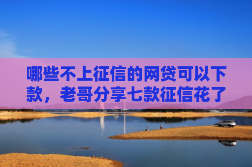 哪些不上征信的网贷可以下款，老哥分享七款征信花了下款的网贷口子
