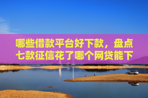哪些借款平台好下款，盘点七款征信花了哪个网贷能下款