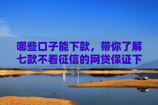 哪些口子能下款，带你了解七款不看征信的网贷保证下款
