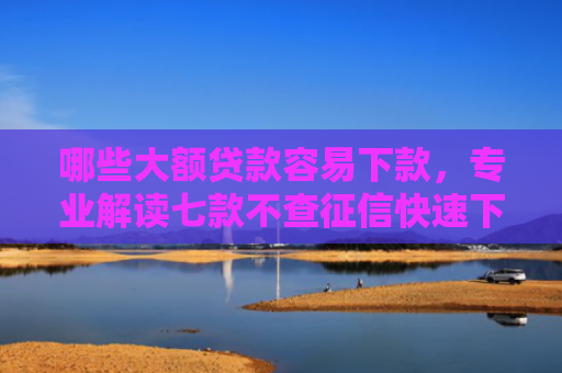 哪些大额贷款容易下款，专业解读七款不查征信快速下款的网贷