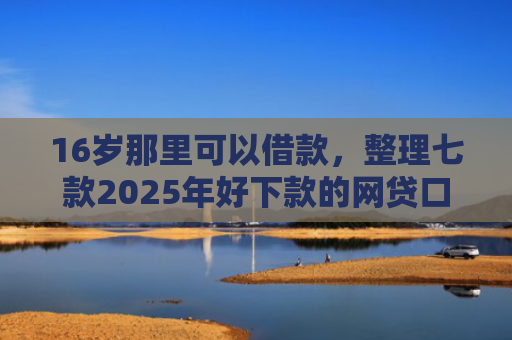 16岁那里可以借款，整理七款2025年好下款的网贷口子