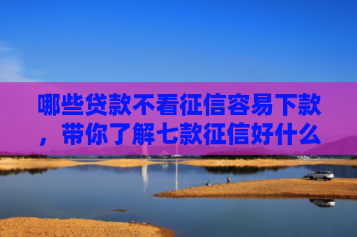 哪些贷款不看征信容易下款，带你了解七款征信好什么网贷下款快