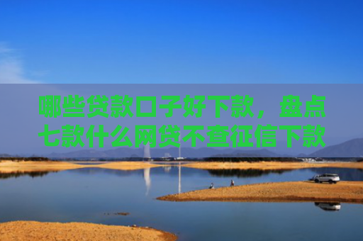 哪些贷款口子好下款，盘点七款什么网贷不查征信下款快