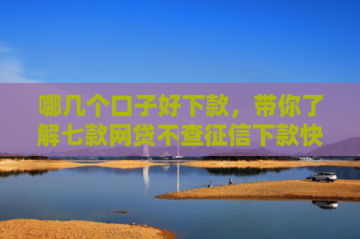 哪几个口子好下款，带你了解七款网贷不查征信下款快