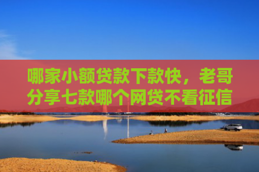 哪家小额贷款下款快，老哥分享七款哪个网贷不看征信下款