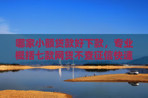 哪家小额贷款好下款，专业概括七款网贷不查征信快速下款