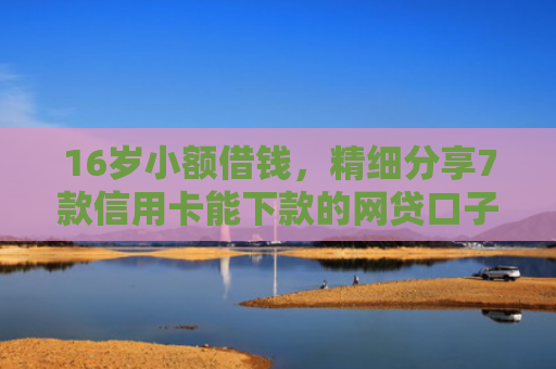 16岁小额借钱，精细分享7款信用卡能下款的网贷口子