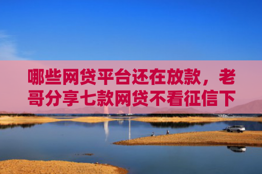 哪些网贷平台还在放款，老哥分享七款网贷不看征信下款快6