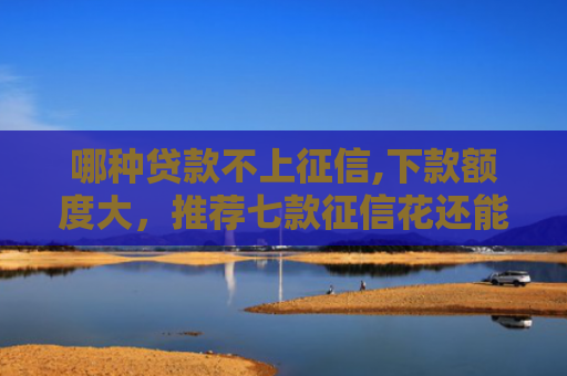 哪种贷款不上征信,下款额度大，推荐七款征信花还能下款的网贷