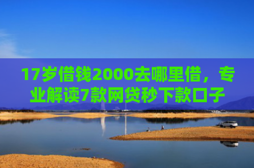 17岁借钱2000去哪里借，专业解读7款网贷秒下款口子