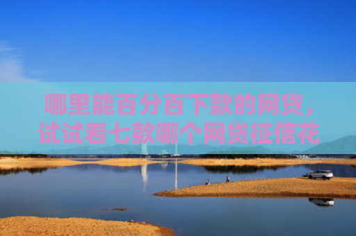 哪里能百分百下款的网贷，试试看七款哪个网贷征信花了好下款