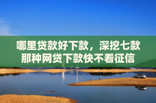 哪里贷款好下款，深挖七款那种网贷下款快不看征信