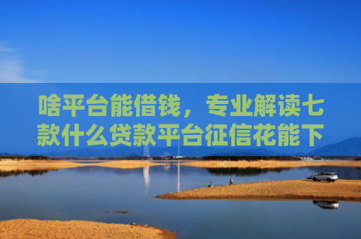 啥平台能借钱，专业解读七款什么贷款平台征信花能下款