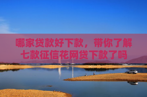 哪家贷款好下款，带你了解七款征信花网贷下款了吗