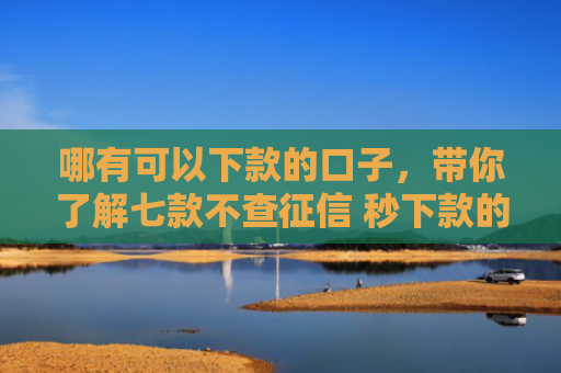 哪有可以下款的口子，带你了解七款不查征信 秒下款的网贷
