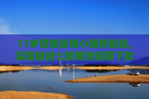 17岁借钱急用小额秒到账，深度细说七款网贷逾期下款口子