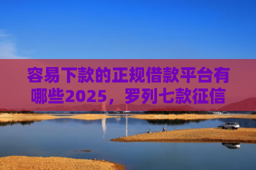容易下款的正规借款平台有哪些2025，罗列七款征信花小额平台能下款吗