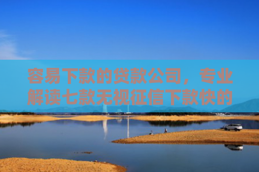 容易下款的贷款公司，专业解读七款无视征信下款快的平台