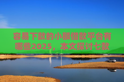 容易下款的小额借款平台有哪些2025，本文探讨七款征信黑户下款平台是什么