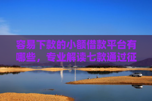 容易下款的小额借款平台有哪些，专业解读七款通过征信可以下款的平台