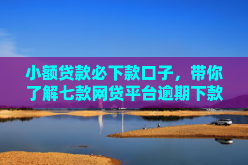 小额贷款必下款口子，带你了解七款网贷平台逾期下款口子
