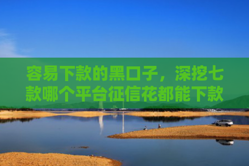 容易下款的黑口子，深挖七款哪个平台征信花都能下款