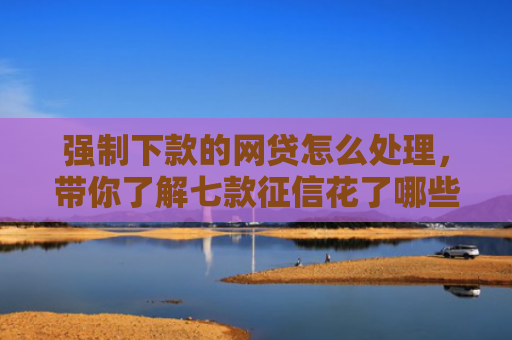 强制下款的网贷怎么处理，带你了解七款征信花了哪些平台能下款