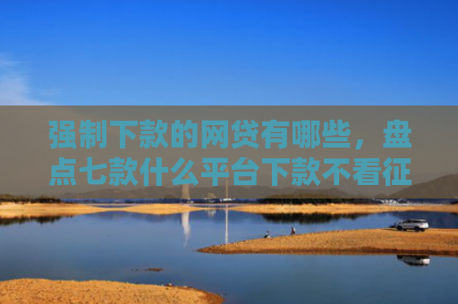 强制下款的网贷有哪些，盘点七款什么平台下款不看征信