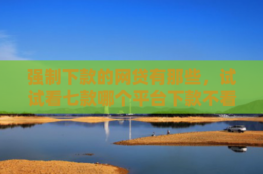 强制下款的网贷有那些，试试看七款哪个平台下款不看征信