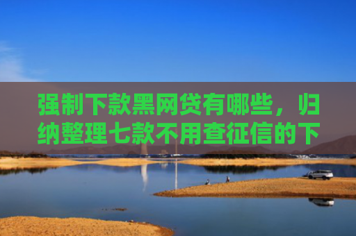强制下款黑网贷有哪些，归纳整理七款不用查征信的下款平台
