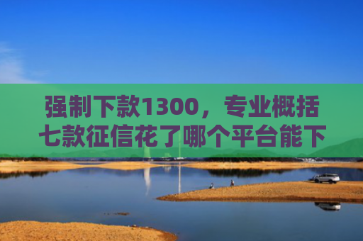 强制下款1300，专业概括七款征信花了哪个平台能下款