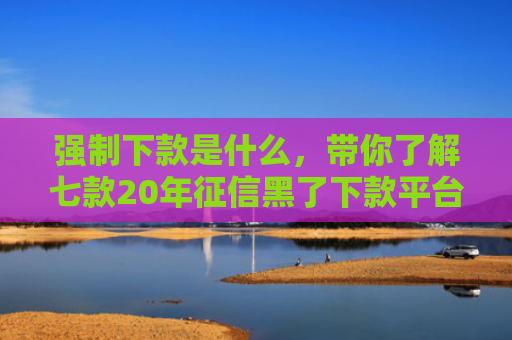 强制下款是什么，带你了解七款20年征信黑了下款平台