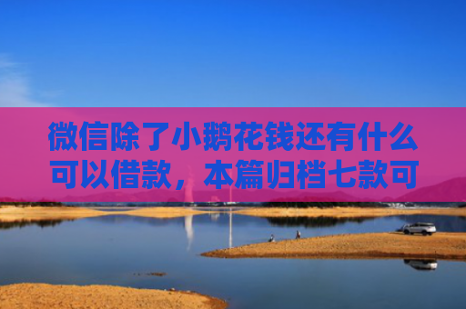 微信除了小鹅花钱还有什么可以借款，本篇归档七款可下款的网贷口子
