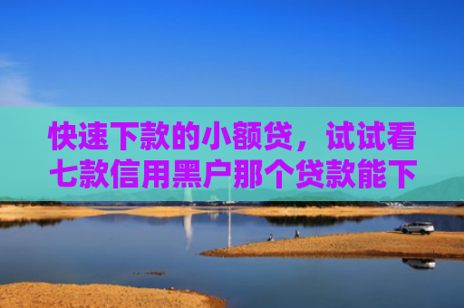 快速下款的小额贷，试试看七款信用黑户那个贷款能下款